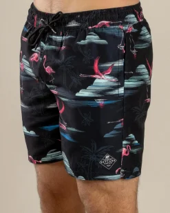 Alcove Elastic Waist Board Shorts