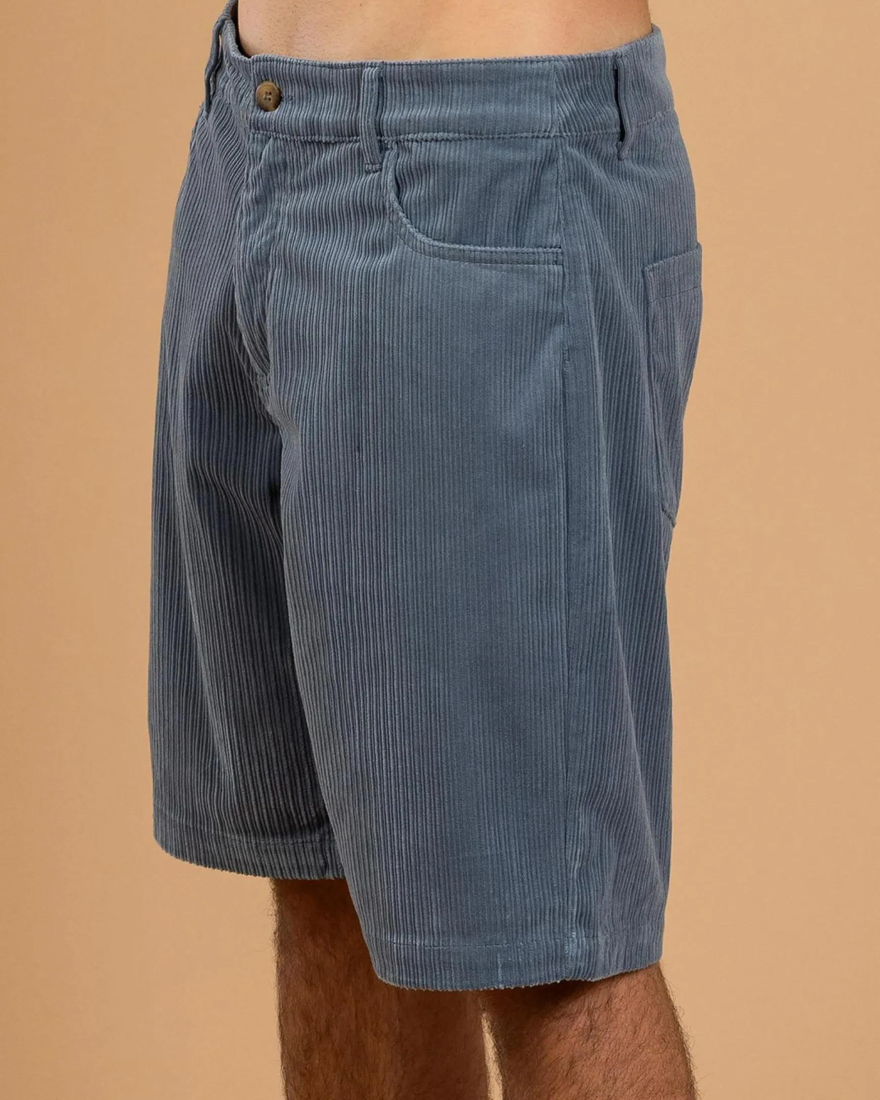 Ascent Walk Shorts
