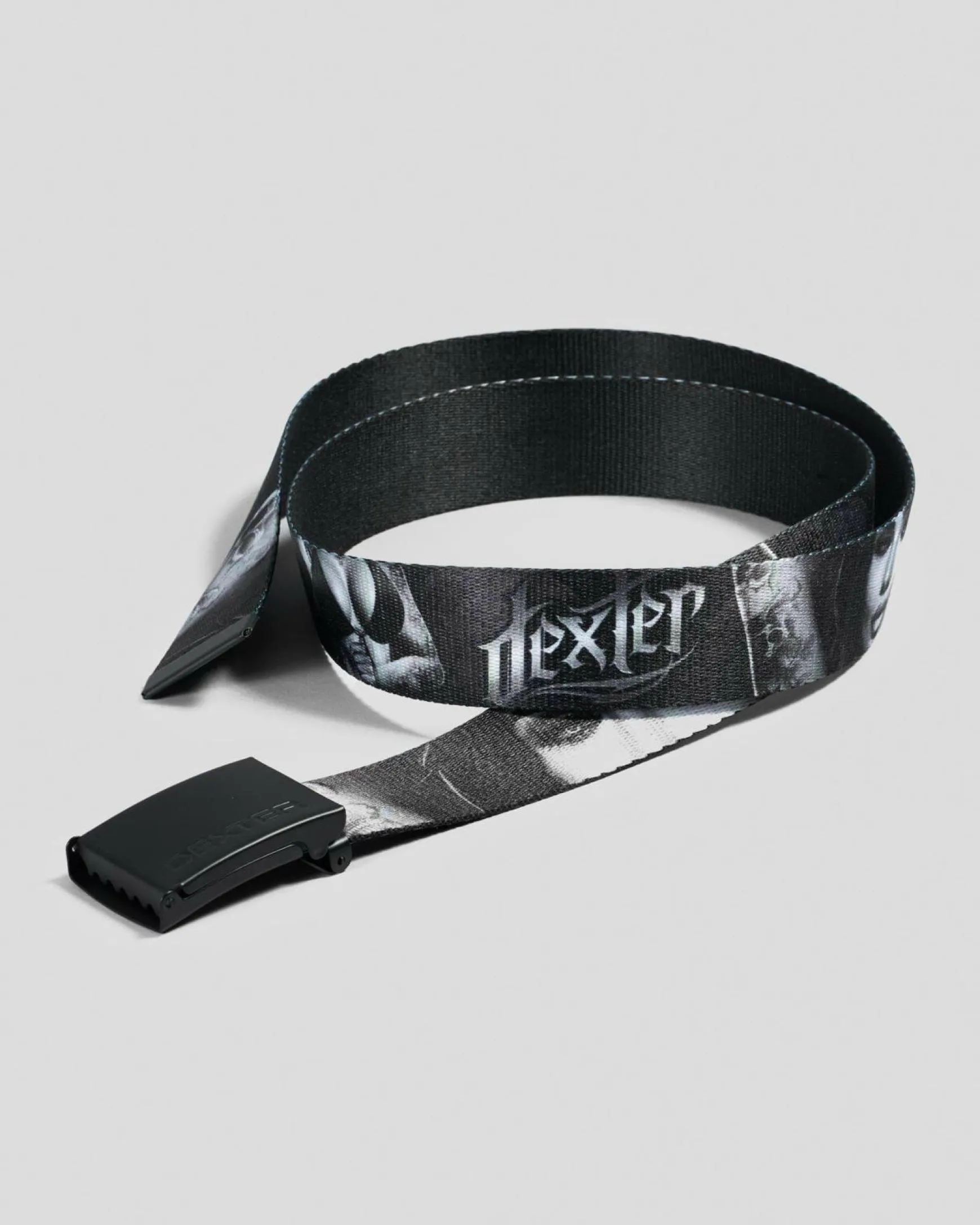 Assassin Web Belt