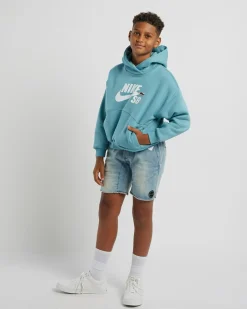 Boys' Icon Fleece Hoodie