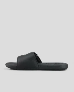 Cool Cat 2.0 Slides