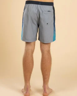 Everyday Holmes Volley 17NB Board Shorts