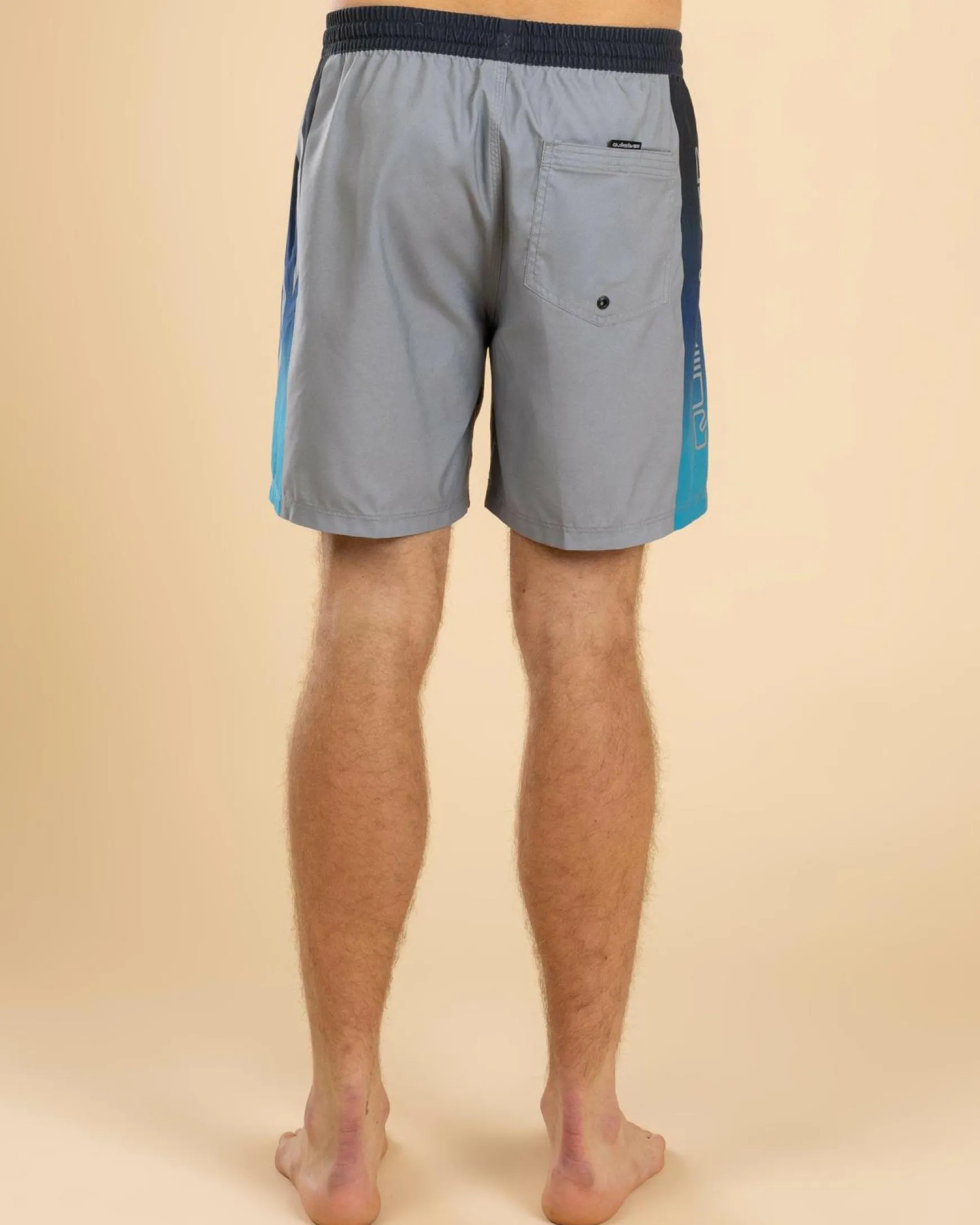 Everyday Holmes Volley 17NB Board Shorts