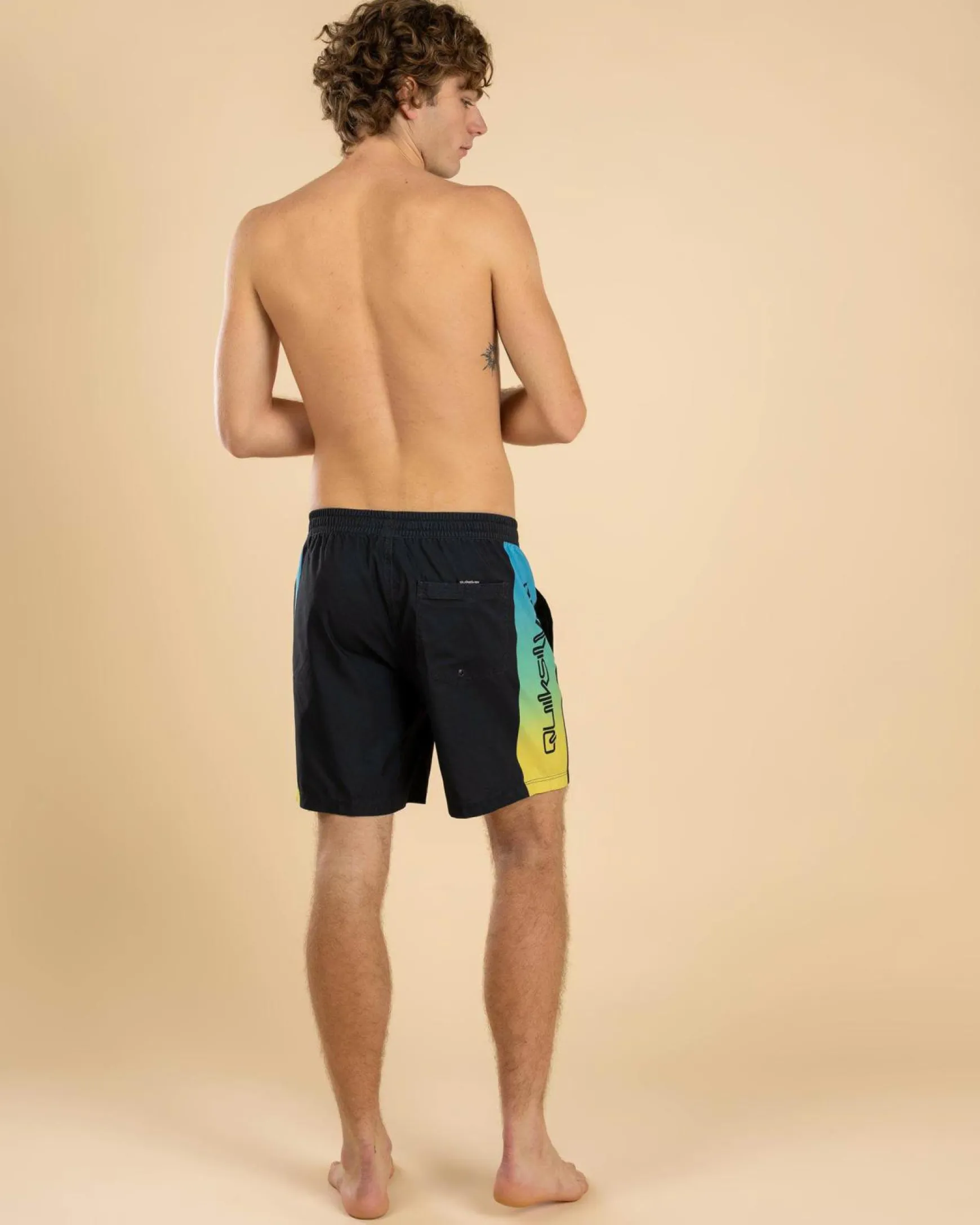 Everyday Holmes Volley 17NB Board Shorts