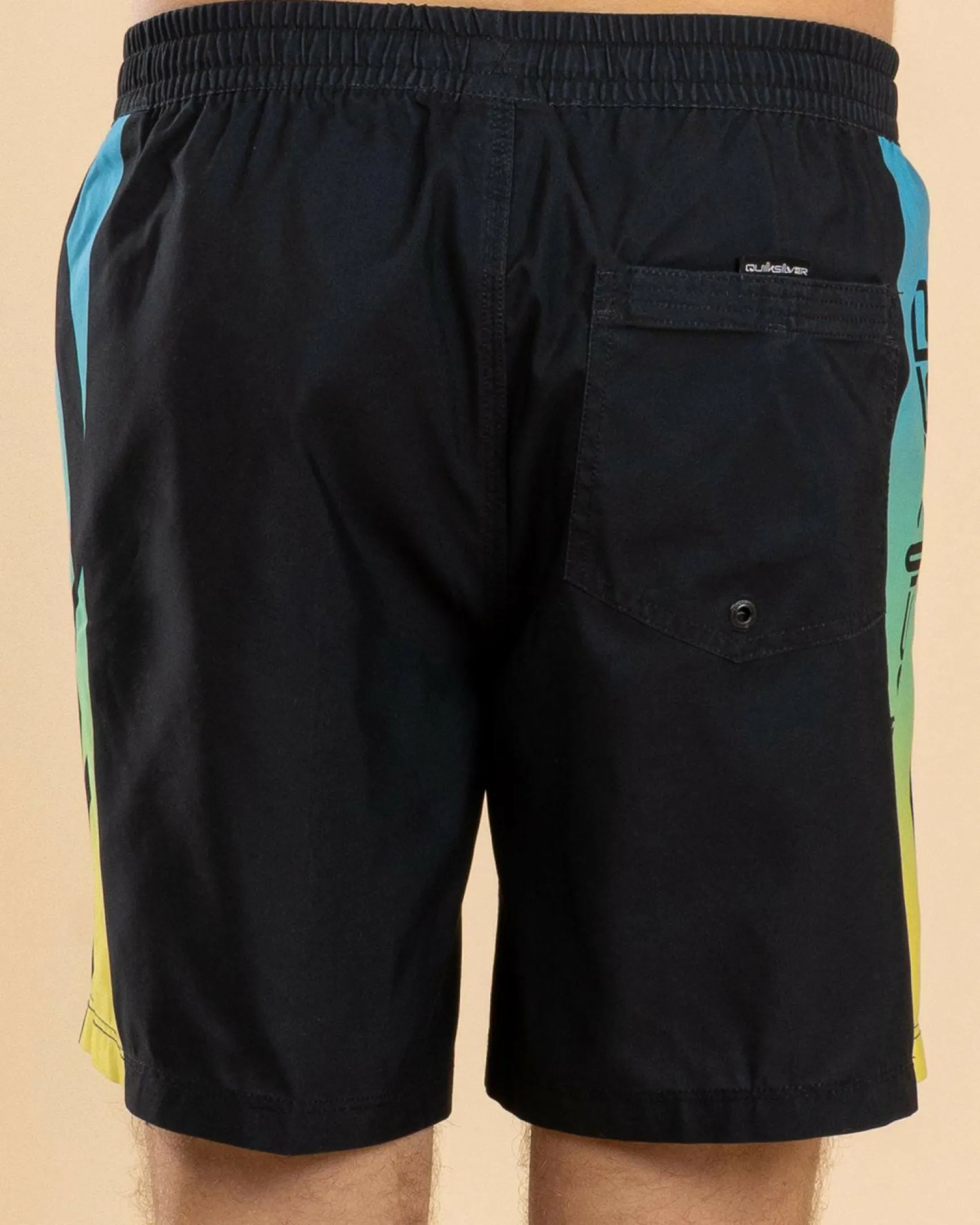 Everyday Holmes Volley 17NB Board Shorts