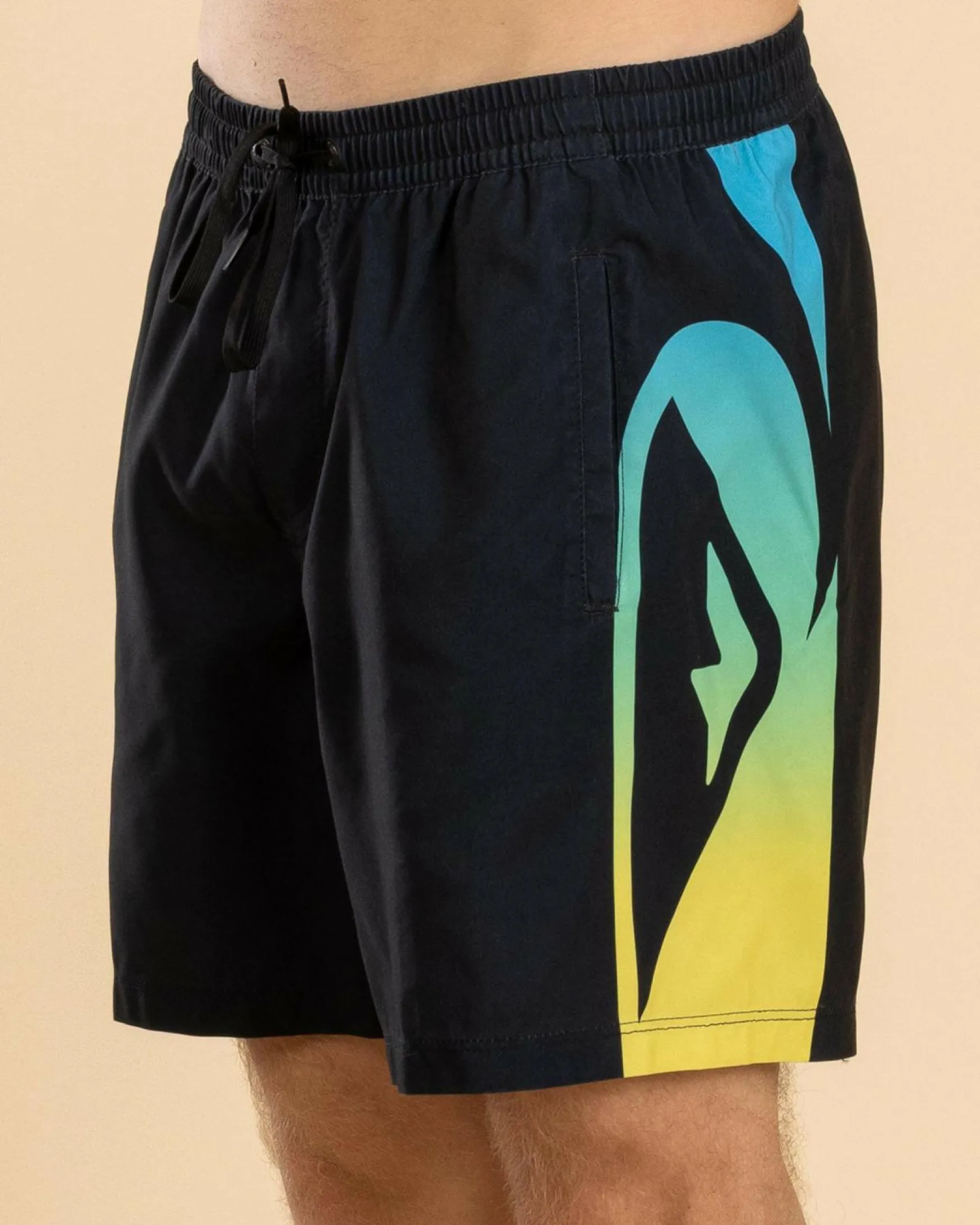 Everyday Holmes Volley 17NB Board Shorts