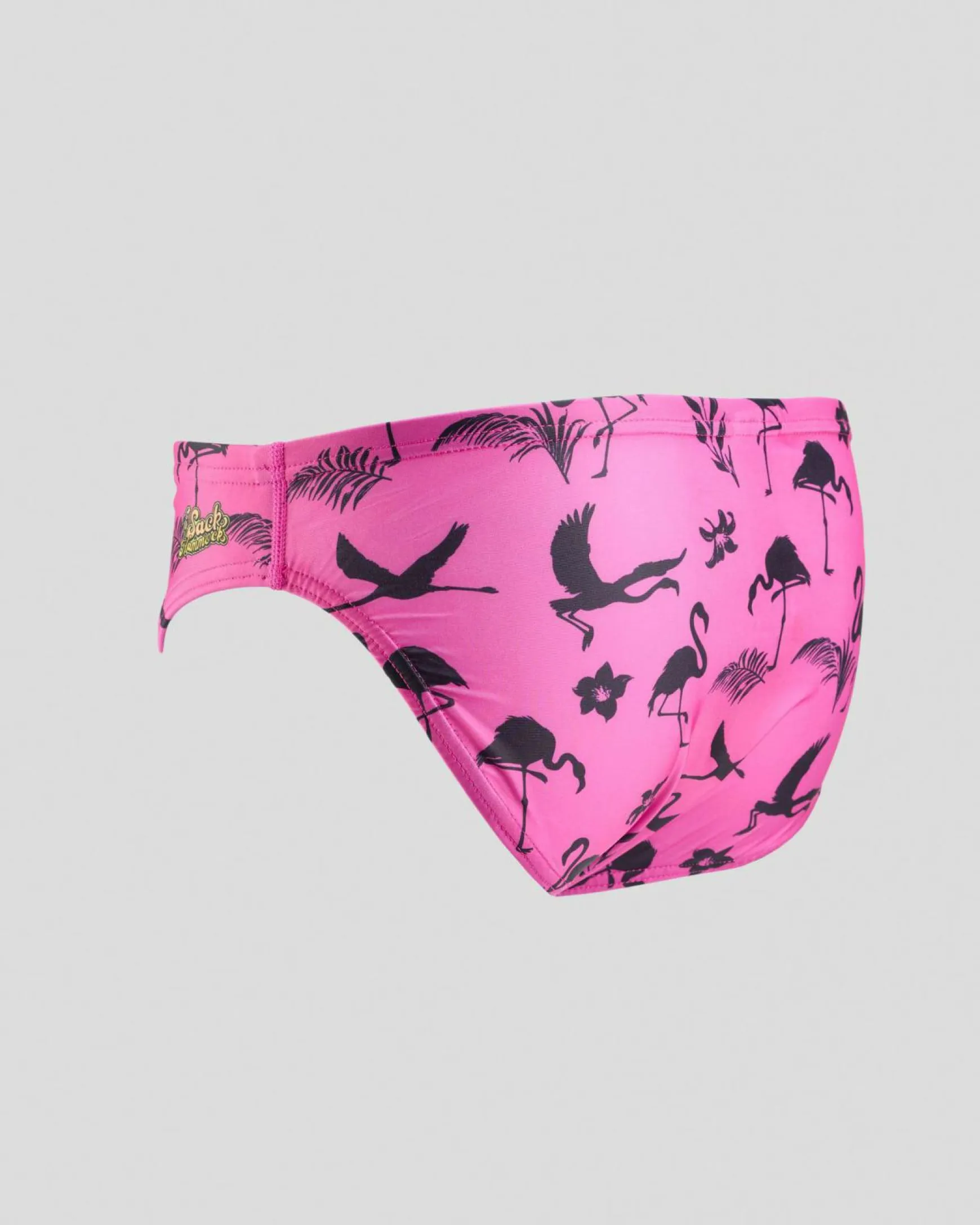 Fiesta Swim Briefs