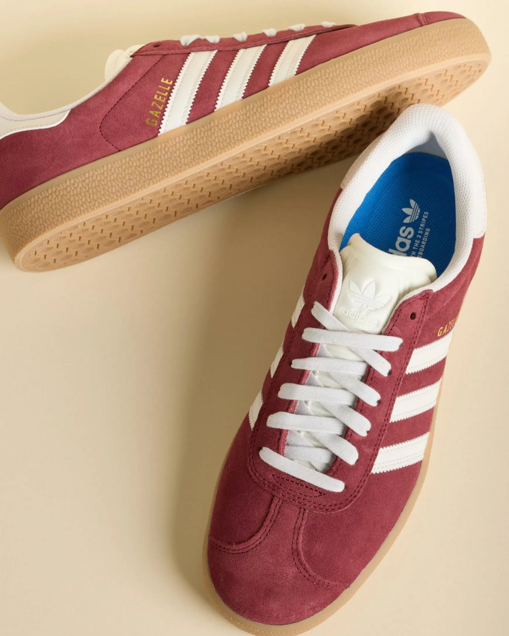 Gazelle ADV