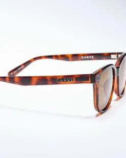 Homeland Polarised Sunglasses
