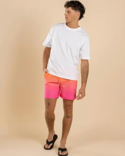 Luminous Elastic Waist Shorts