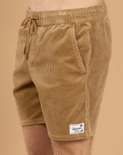 Tether Elastic Waist Shorts