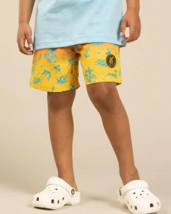 Toddlers' Mystify Elastic Waist Shorts